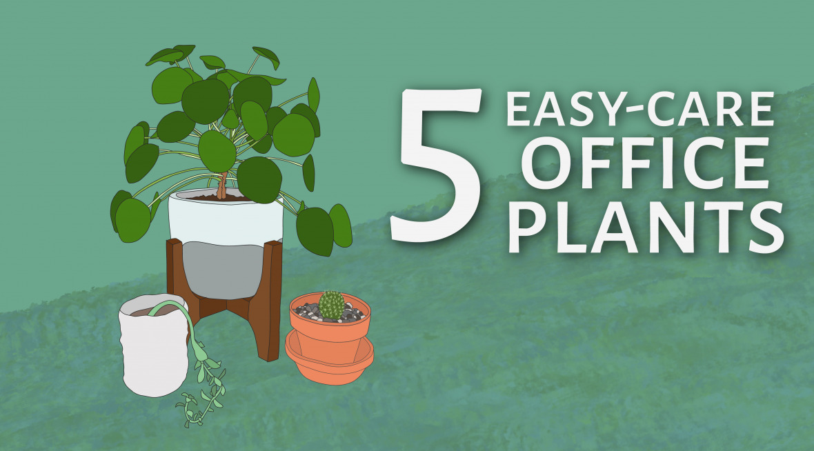 Plant Blog Header-01