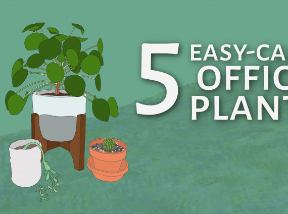Plant Blog Header-01